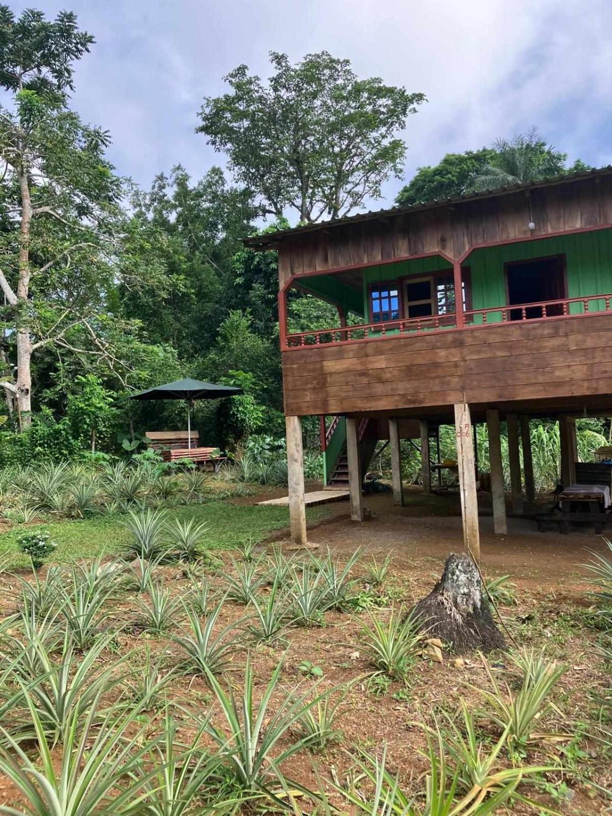 فندق Casas Salomao Santo António المظهر الخارجي الصورة